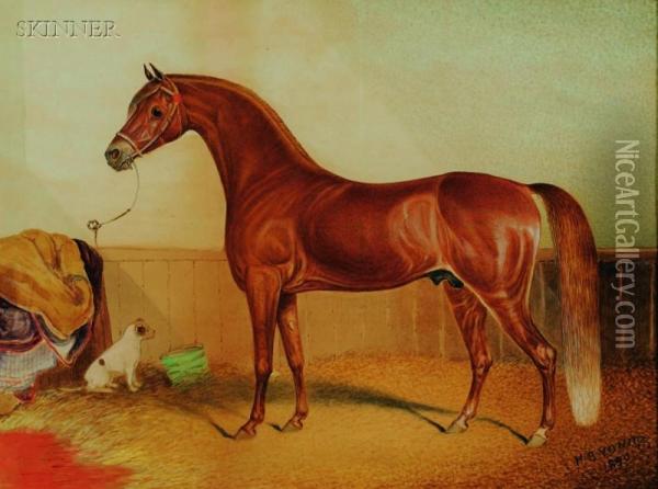 Portrait Of A Horse Oil Painting - Hyder Young Hearsey