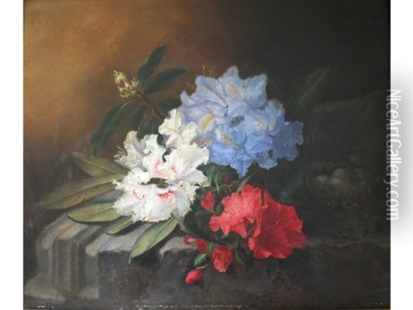 Rhododendrons On A Ledge Oil Painting - Maria Aletta Fennigje Molijn