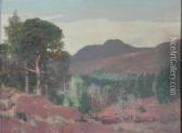 The Scots Pine Oil Painting - George Houston