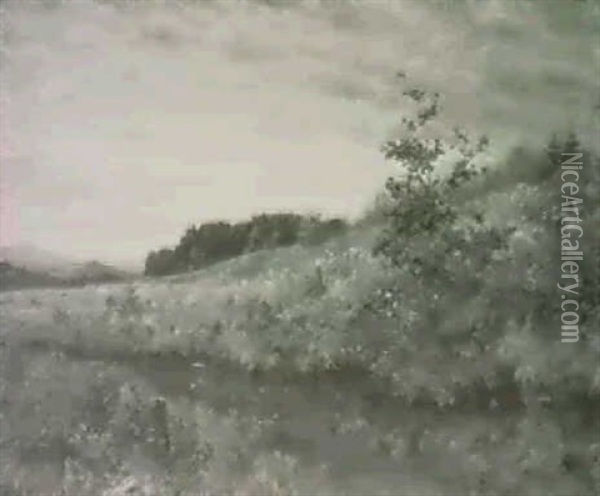 Hochmoor Im Weidenstamm Oil Painting - Julius Victor Carstens