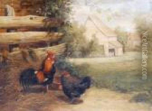 Farmyard Scene With Chickens Oil Painting - Gabriel Metsu