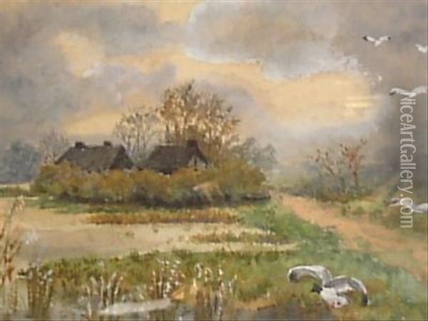 Wildfowl In Marshland Landscape Oil Painting - Mabel Hamar