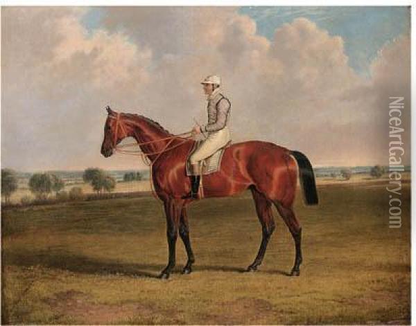 Mr. Robertson's Little Wonder With W. Macdonald Up Oil Painting - John Frederick Herring Snr