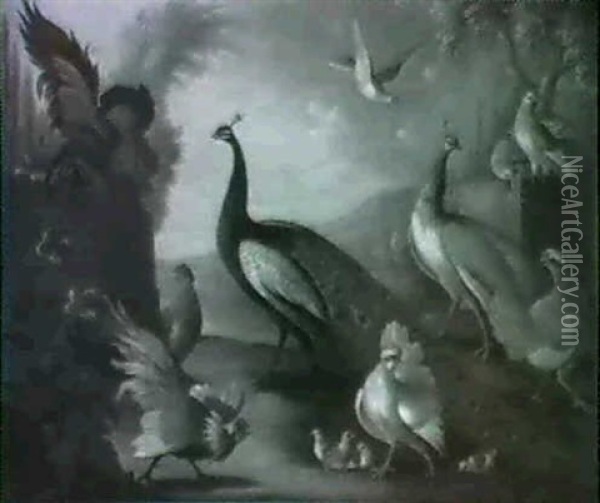 Two Peacocks, Doves, Chickens And A Rooster In A Park Oil Painting - Marmaduke Cradock