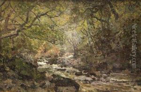 Sketch In The Dargle, Co Wicklow (may 1886) Oil Painting - R.W . West