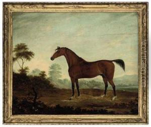 A Bay Hunter In An Extensive Landscape Oil Painting - George Stevens