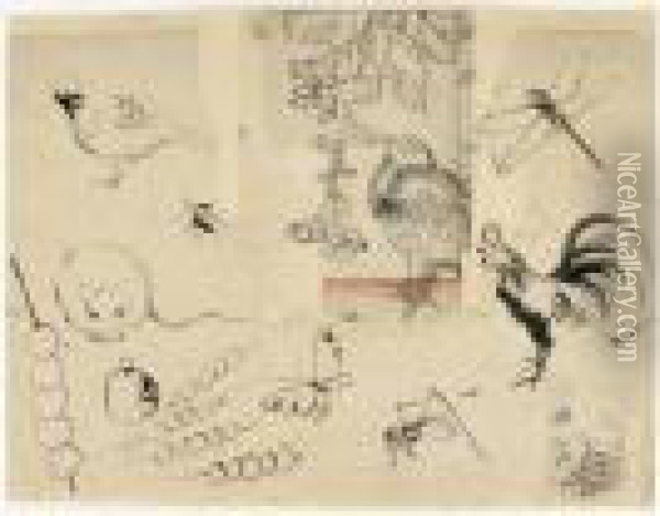 Feuilles D'etudes : Animaux Et Insectes. Personnage Oil Painting - Katsushika Hokusai