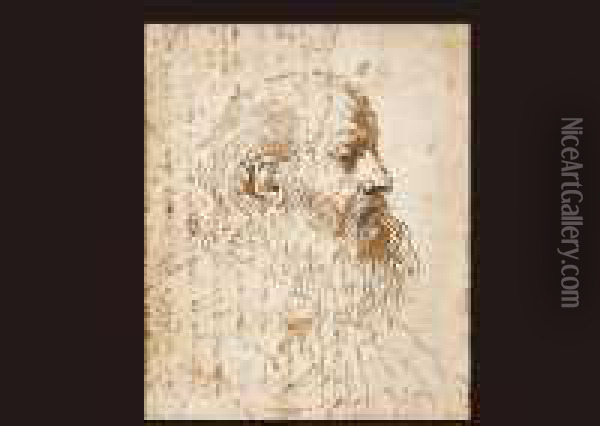 Study Of The Head Of A Beard Man In Profile To The Right Oil Painting - Guercino