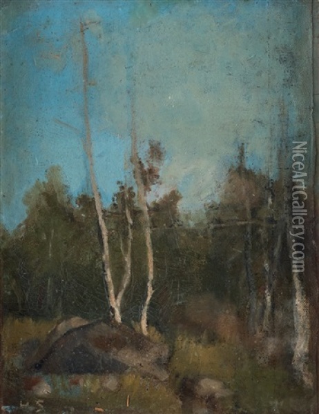 Landskap Med Bjorkar (landscape With Birches) Oil Painting - Helene Sofia Schjerfbeck