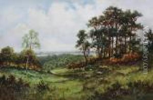Sheep Grazing In A Wooded Landscape Oil Painting - Daniel Sherrin