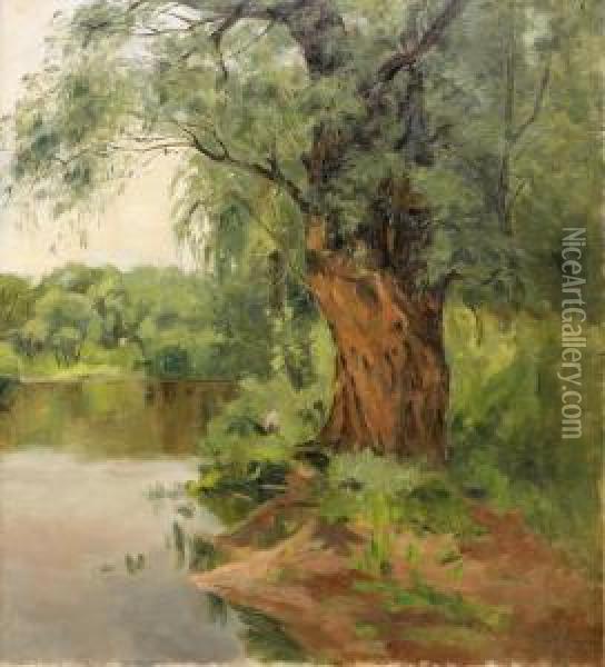 Tree By The Lake Oil Painting - Maria Fedorova
