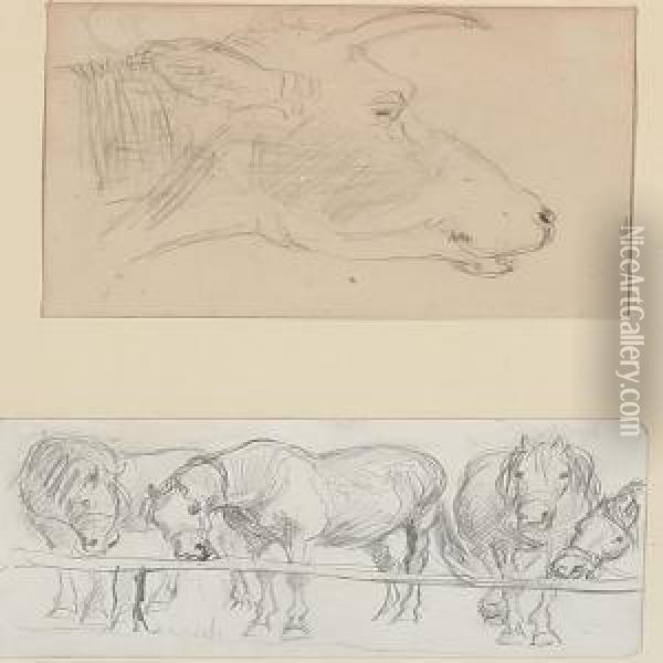 A Collection Of Six Studies Of Persons, Horses And Cattle, Mounted On Three Sheets Oil Painting - Theodor Philipsen
