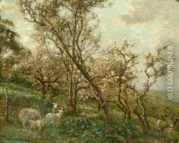 Sheep In An Orchard Oil Painting - Frederick William Jackson