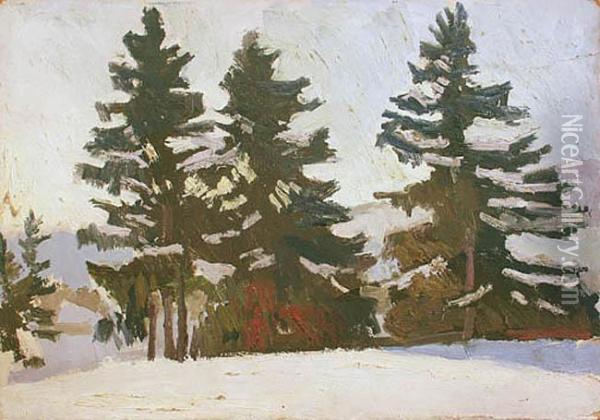 Pejzaz Zimowy Ze Swierkami Oil Painting - Stanislaw Kamocki