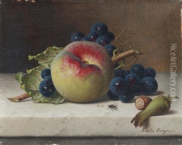 Still Life Of Fruit And Nuts On A Ledge Oil Painting - Emilie Preyer