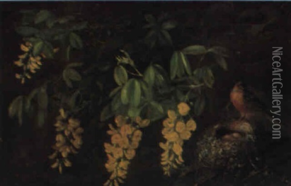 Vindrueranker Oil Painting - Michelangelo Meucci