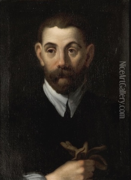 Portrat Des Adliges Mit Handschue Oil Painting - Jacopo Palma il Giovane