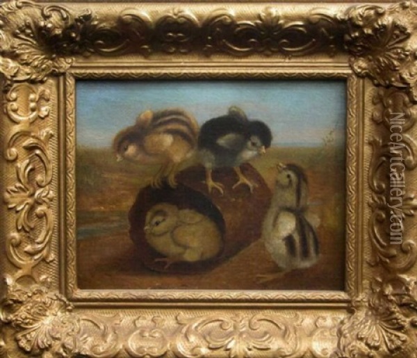 Group Of Four Chicks Playing On A Tin Can Oil Painting - Ben Austrian