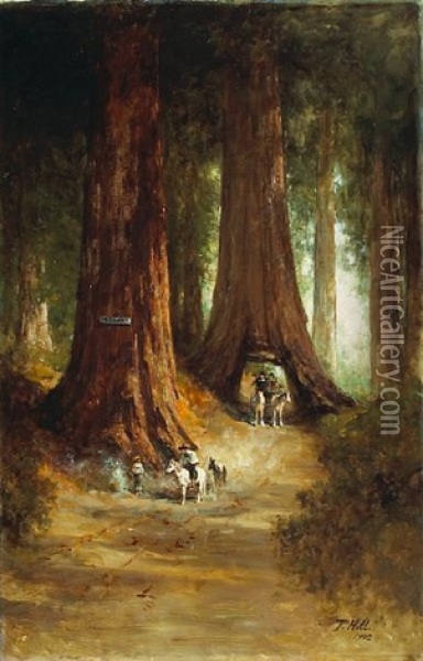 Big Trees Oil Painting - Thomas Hill