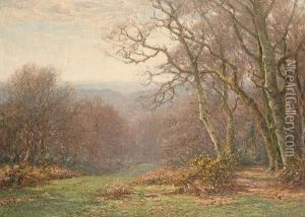A Woodland Lane Oil Painting - Frederik Golden Short