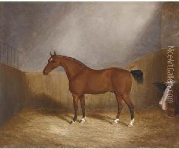 A Chestnut Hunter In A Stable Oil Painting - James Senior Clark