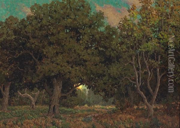 Sunset Through The Trees Oil Painting - Granville Redmond