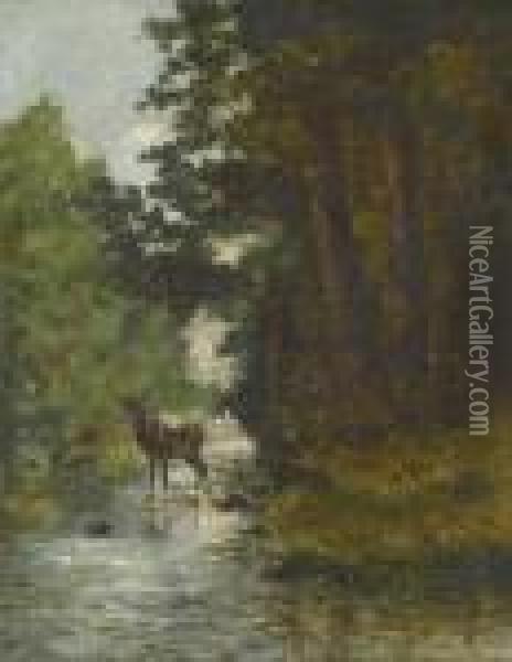 Waldpartie Mit Hirsch An Einem Bachufer. Oil Painting - Gustave Courbet