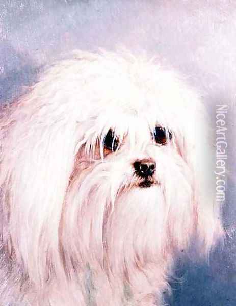 Maltese Terrier Oil Painting - H. Morley Park