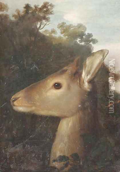 A deer's head Oil Painting - German School