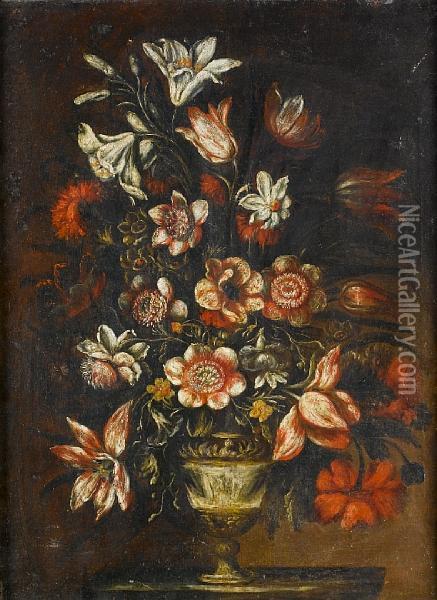 Narcissi, Lilies, Tulips And Other Flowers Ina Classical Urn On A Plinth Oil Painting - Mario Nuzzi Mario Dei Fiori