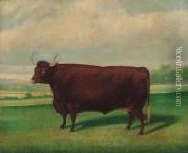 A Prize Longhorned Bull Oil Painting - Thomas Weaver