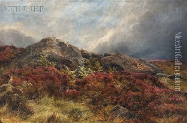 Rock And Heather In Scotland Oil Painting - James Faed the Younger