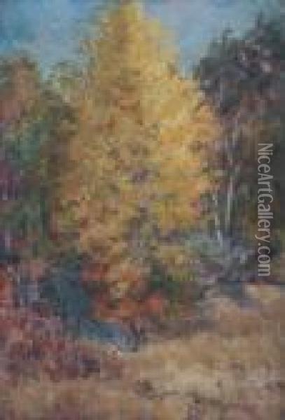 Yellow Maple. Oil Painting - Mary Ella Williams Dignam