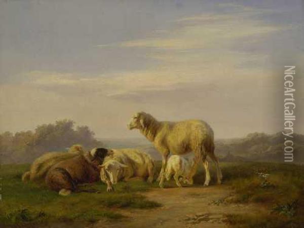 Grasende Schafe Oil Painting - Wilhelm Melchior