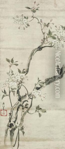 Flowering Cherry Branch Oil Painting - Kita Busei