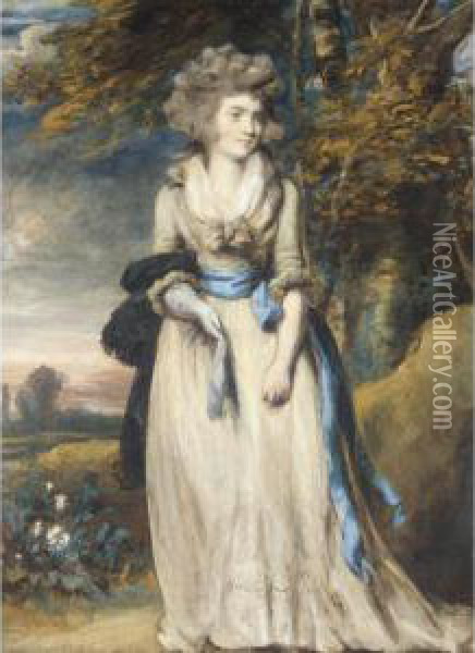 Portrait Of A Lady Oil Painting - Daniel Gardner
