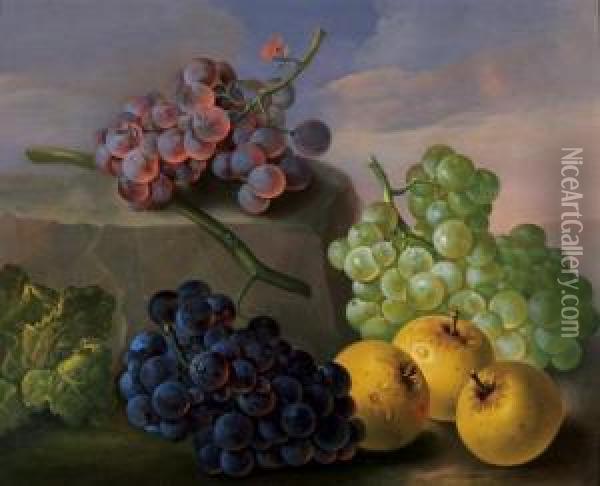 Stilleben Mit Trauben Und Apfeln Oil Painting - Franz Xaver Petter