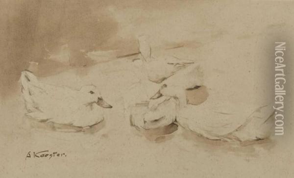 Vier Enten Im Wasser. Oil Painting - Alexander Max Koester