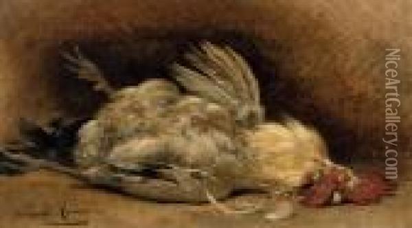 Study Of A Rooster Oil Painting - Henriette Ronner-Knip