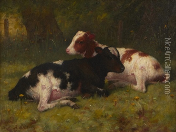 Resting Calves Oil Painting - William Barr