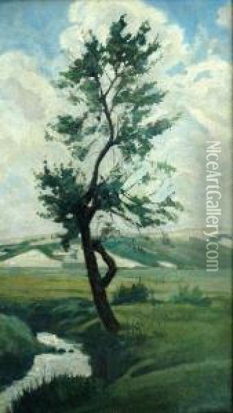Drzewo Nad Strumykiem Oil Painting - Jan Kazimierz Olpinski