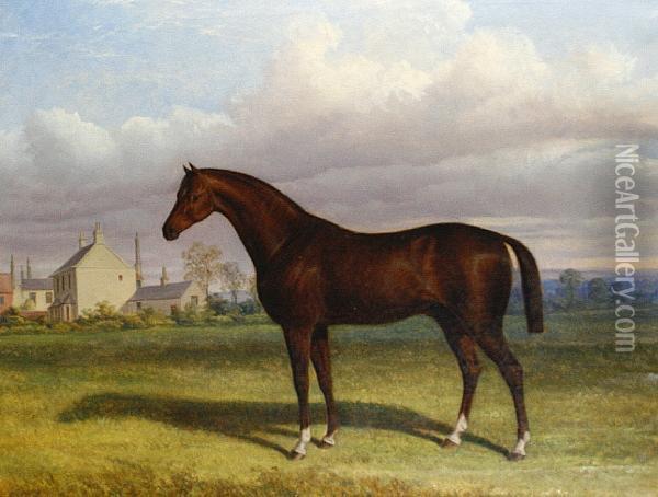 A Landscape With A Bay Horse Oil Painting - William Francis Barraud