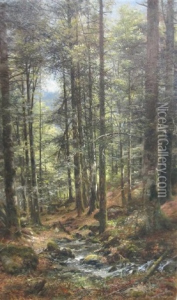 In A Forest Oil Painting - Anton Heinrich Dieffenbach