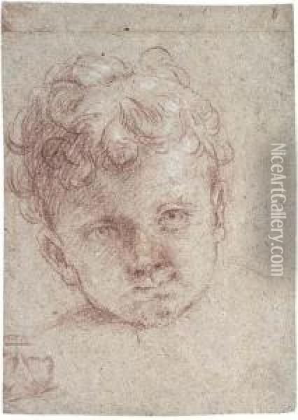Head Of A Young Child Oil Painting - Elisabetta Sirani