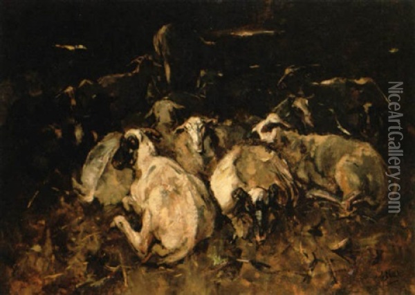 Resting Sheep Oil Painting - Willem Van Der Nat