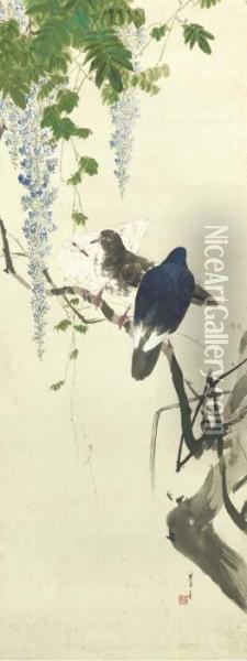 Toka Gunkyu No Zu (wisteria And Group Of Pigeons) Oil Painting - Seiti Shotei Watanabe