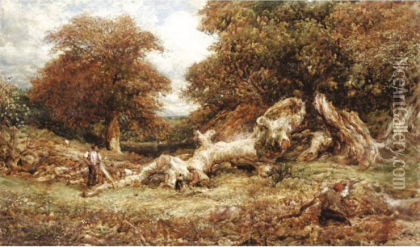 Forest Oil Painting - John Linnell