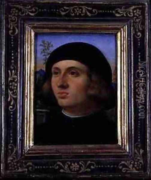 Portrait of a Young Man Oil Painting - Palma Vecchio (Jacopo Negretti)
