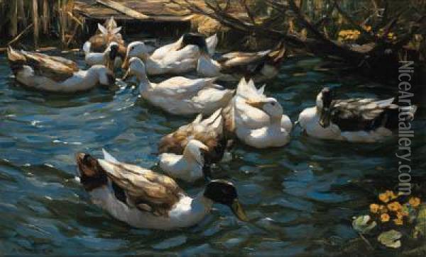 Enten In Schilfwasser Unter Asten (ducks In The Reeds Under Theboughs)
Signed 'a Koester.' (lower Left) Oil Painting - Alexander Max Koester