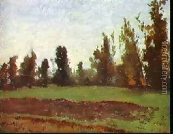 Paesaggio Di Primavera Oil Painting - Guglielmo Ciardi